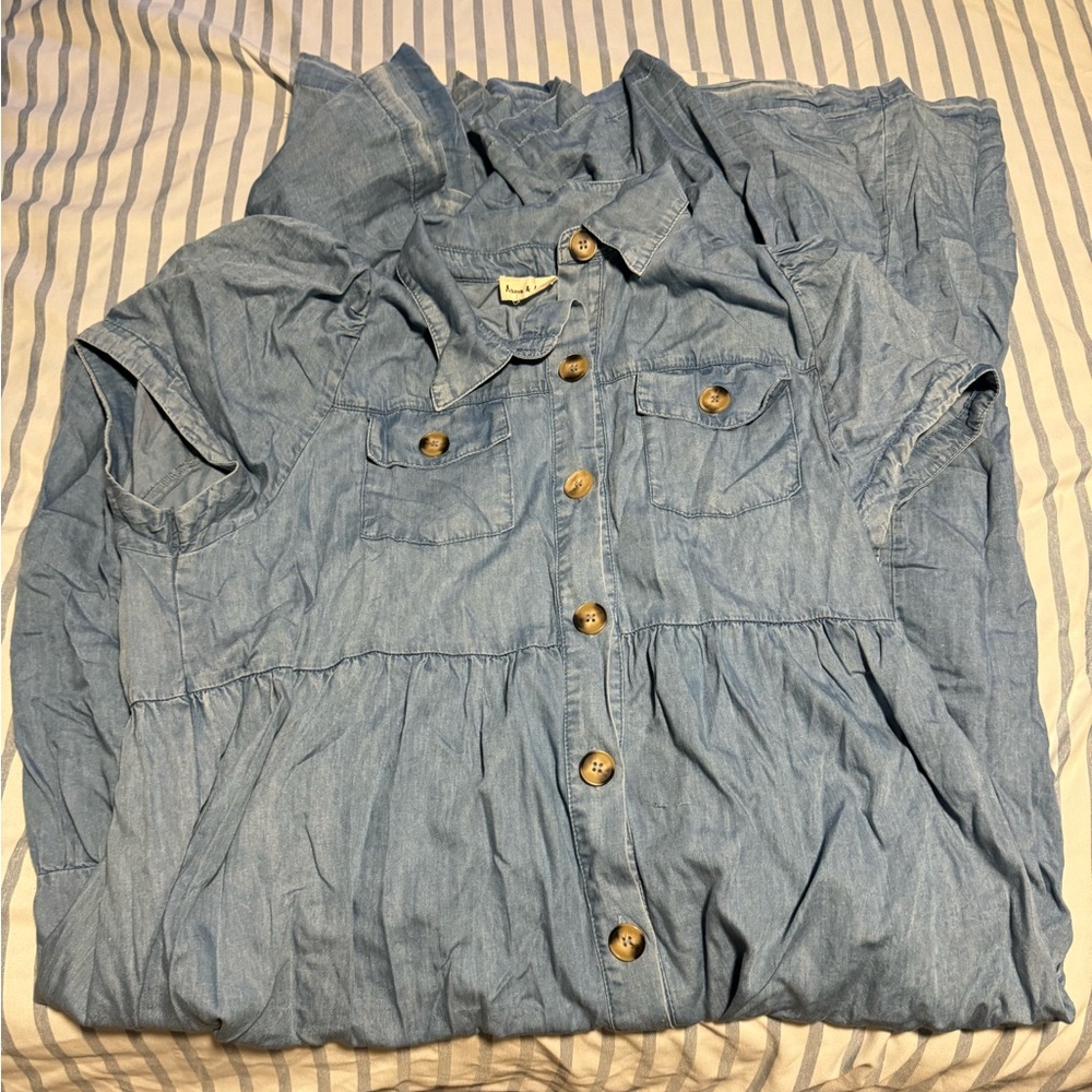 Aaron and amber button down dress